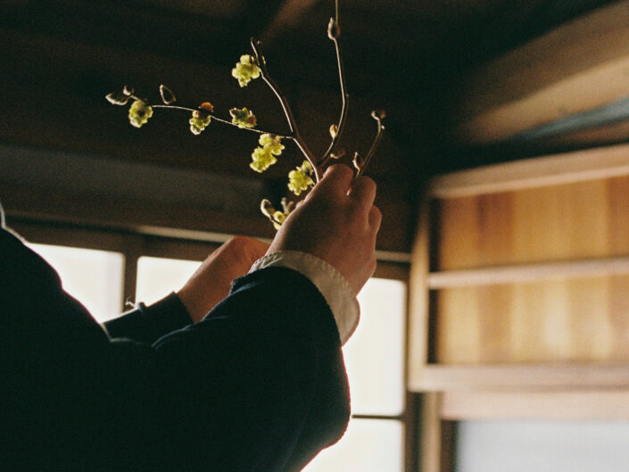 Watarai Toru’s ikebana